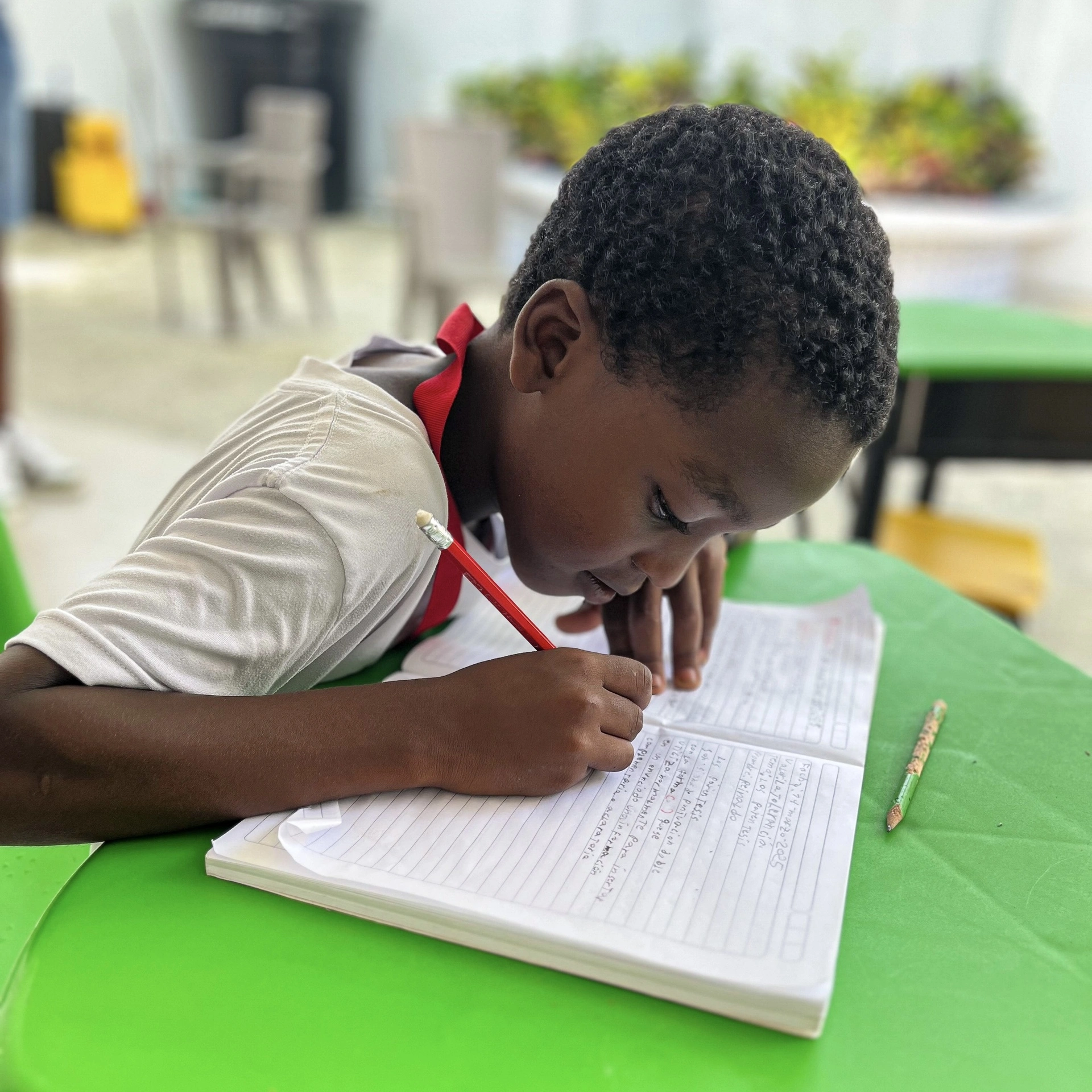 Donaciones que generan oportunidades y transforman la vida de familias de la comunidad de Barú